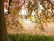 View on one of the Walking Group walks